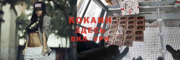 СК Михайлов