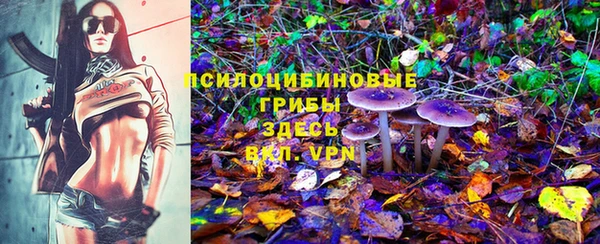 эйфоретик Михайловск