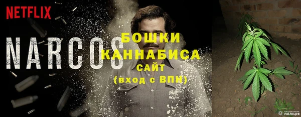 СК Михайлов