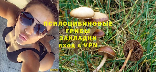 амф Михайловка